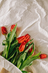 Red tulips on the bed in natural sunlight, spring composition