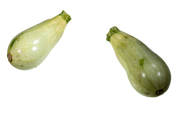 Lebanese Zucchini