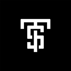 Fototapeta premium TS Logo design
