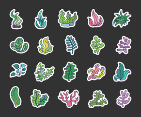 Underwater sea plants. Sticker Bookmark. Seaweeds. Aquarium planting. Hand drawn style. Vector drawing. Collection of design elements.