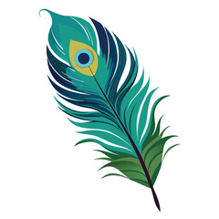Obraz premium peacock feather vector