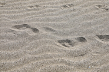 footprints in the beach sand. concept of summer vacation on a deserted beach.