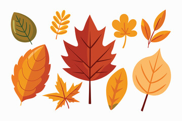 set of colorful autumn leaves vector