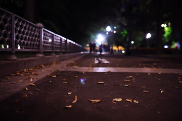 Autumn colors. Autumn leaves in autumn colors and lights in the evening. City lights.