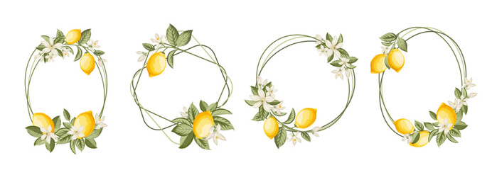 Lemon frame illustration. hand-drawn citrus. - 784207801