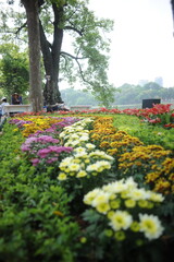 Fototapeta premium flowers in the park