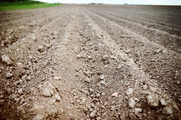 Landscape with agricultural land, in slope, recently plowed and prepared for the crop, with a...