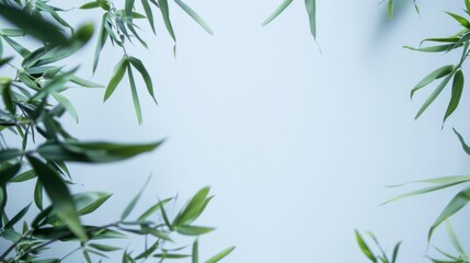 Minimalistic frame of thin bamboo leaves against a spotless background