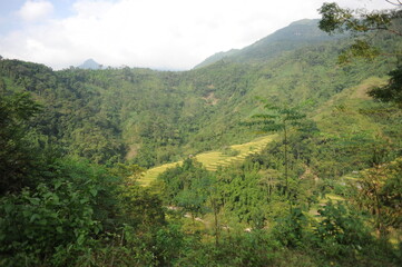 Fototapeta premium the terraces in the north of Viet Nam, Hoang Su Phi