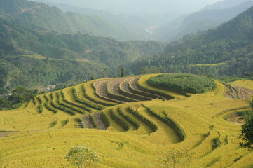 the terrain farm in Hoang Su Phi, the east north of Viet Nam