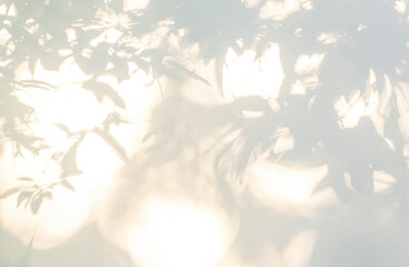 Leaf shadow and light on wall beige background. Nature tropical gray leaves plant and tree branch...