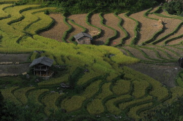 The ladder farms in the north of Vietnam