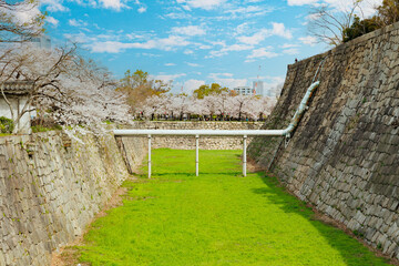 春の大阪城と桜