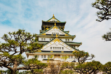 Fototapeta premium 春の大阪城と桜