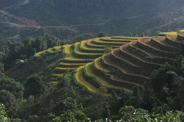 The ladder farms in the north of Vietnam