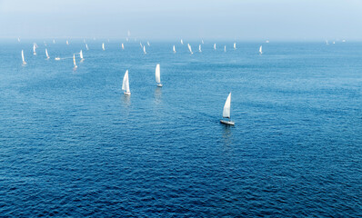 Group of sailboats in the sea