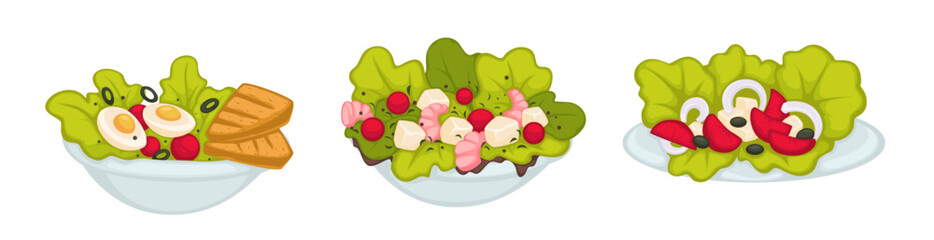 Assorted Fresh Salad Bowls Vector
