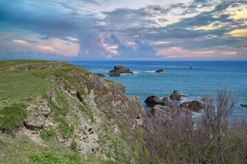 Belle-Ile in Brittany, seascape with rocks and cliffs on the Cote Sauvage, with spring flowers
- 784218458
