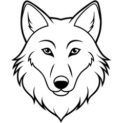        Wolf side head vector illustration.


     