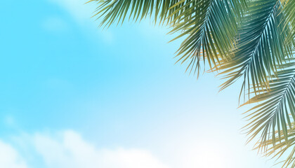 Fototapeta na wymiar Palm tree branches on blue sky background with space for text