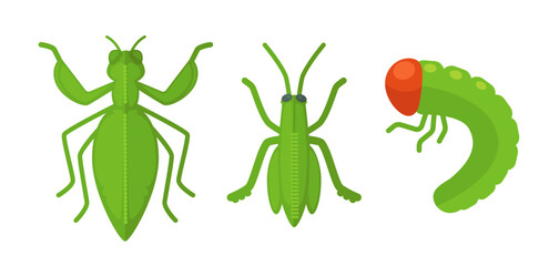 Various Insects Collection Set vector - 784224616