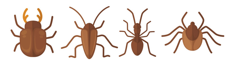 Different Beetle Species Set vector - 784225465