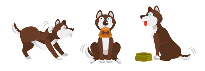 Husky Dog Activities Cute Illustration - 784226844