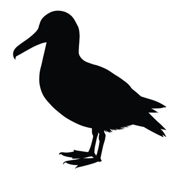 recommend clip art: silhouette of albatross on white