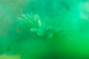 beautiful flower with white petals in clouds of green smoke on black background, photo underwater,...