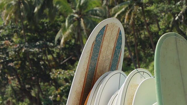 Many surfboards for rent on the tropical beach on the palms background