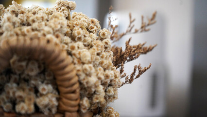 A bunch of white cream edelweiss dried flower bouquet on a natural wooden basket. Floral texture backgrounds. Natural flowers background.