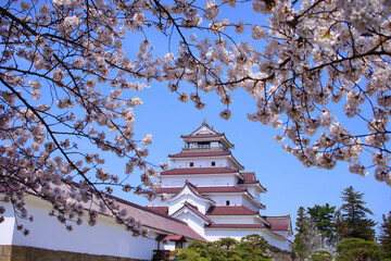 鶴ヶ城と満開の桜