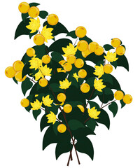 Yellow berries and flowers branch vector illustration