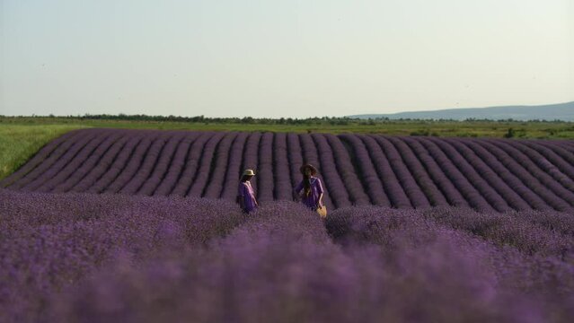 Mother and daughter walk through a lavender field dressed in purple dresses, long hair flowing and wearing hats. The field is full of purple flowers and the sky is clear.