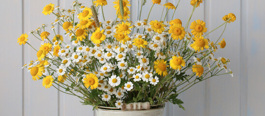 summer floral background, cute bouquet of yellow and white daisies. banner.