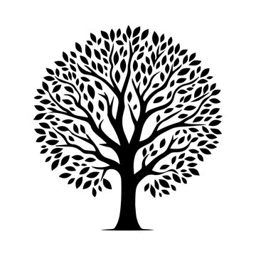Tree silhouette collection vector illustration.Silhouettes of autumn trees.