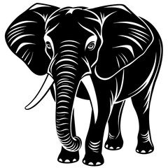 Contrast of Black and White Elephant in Vector Illustration