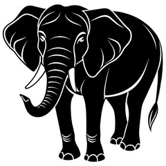 Elephant Graphic Design with Contrast in Vector Illustration