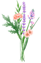 Handdrawn watercolor illustration clipart of detailed Spring Wildflowers meadow bouquets collection Floral arrangements greeting cards wedding invitation Elegant ethereal nature