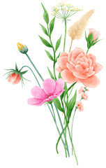 Handdrawn watercolor illustration clipart of detailed Spring Wildflowers meadow bouquets collection Floral arrangements greeting cards wedding invitation Elegant ethereal nature