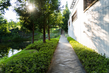Garden path behind the house