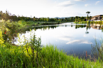 Landscape of the beautiful pond