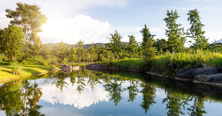 Fototapeta na wymiar Landscape of the beautiful pond
