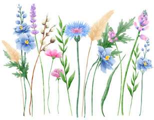 Handdrawn watercolor illustration clipart of detailed Spring Wildflowers meadow compostions collection Floral arrangements greeting cards wedding invitation Elegant ethereal nature