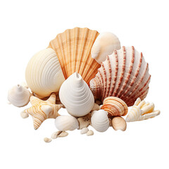illustration of scallops beach object 3D , Isolated on transparent PNG background, Generative ai