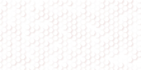 Fototapeta premium The shape of hexagon concept design abstract technology background vector