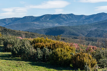 Mountain range and landscapes of the natural park of the northern highlands of Guadalajara, Castilla La Mancha.