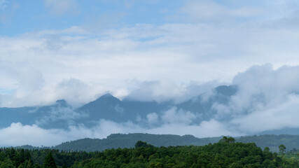 Landscape of mountain covered fog