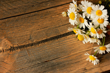 Obraz premium chamomile on a wooden background, place for text, romantic mood