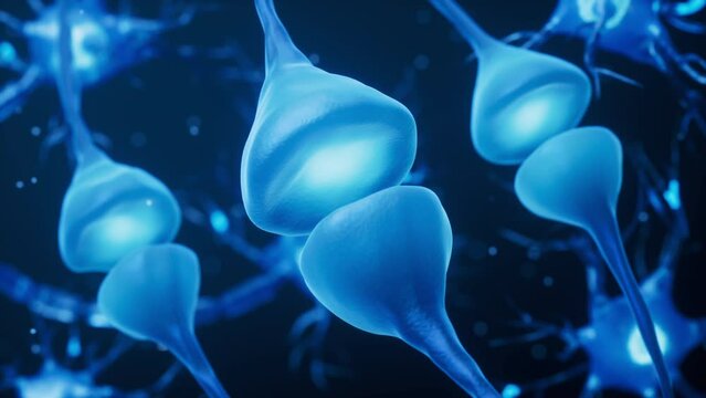 Biology nerve cell with biomedicine concept, 3d rendering.